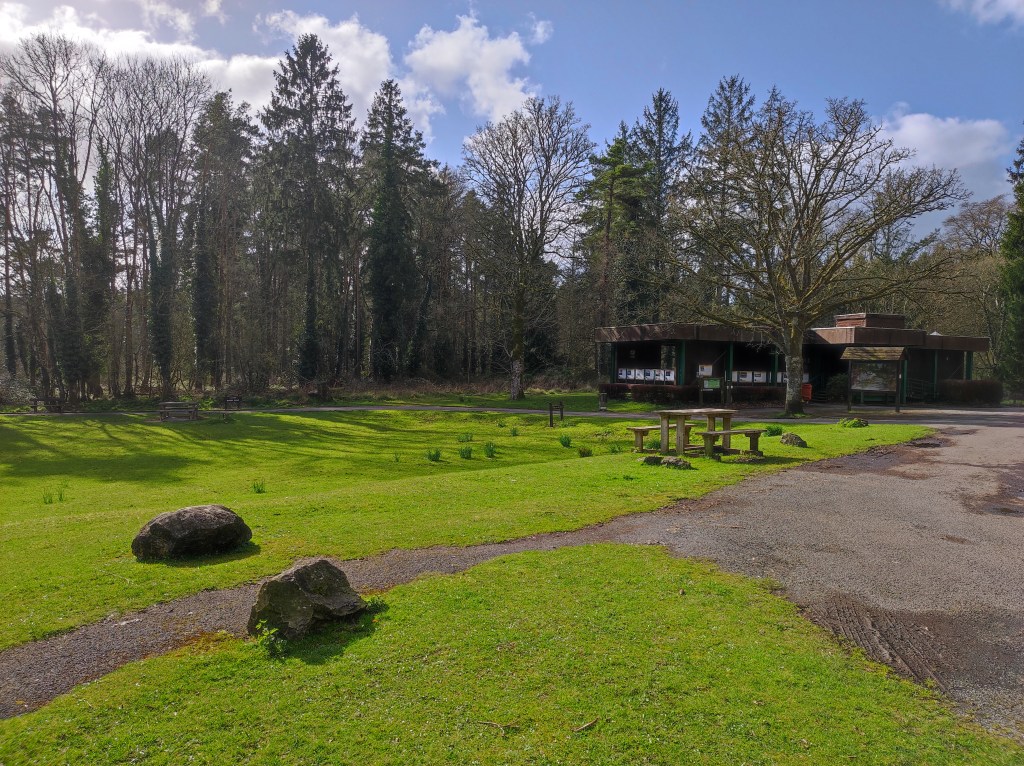 Exploring the Tranquil Beauty of Portumna National Forest Park
